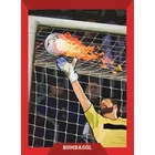 Kép 11/12 - Bombagól